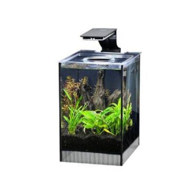 Anubias Danio 17 Nano Akvaryum Siyah 9 Lt 17x22x26,5 Cm