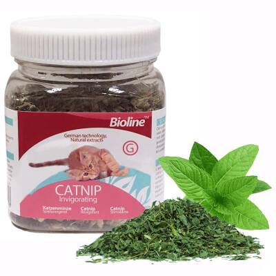 Bioline Catnip Doğal Kedi Otu 20 gr