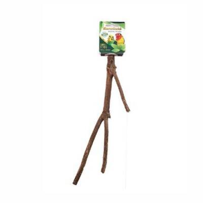 EuroGold Muhabbet ve Paraket Kuşları için Doğal Ahşap Tünek 25 Cm