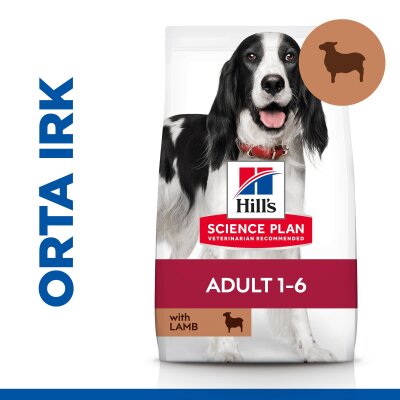Hill's SCIENCE PLAN Yetişkin Orta Irk Kuzulu ve Pirinçli Köpek Maması 12 kg + 2 kg