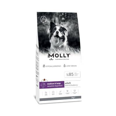 Molly Düşük Tahıllı Hypoallergenic Kuzulu ve Yaban Mersinli Orta ve Büyük Irk Yetişkin Köpek Maması 2 Kg