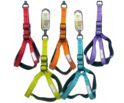 Nunbell Göğüs Tasması 2,5 mm