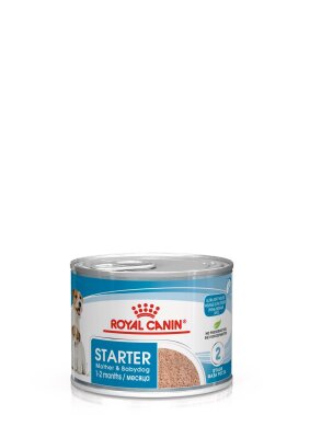 Royal Canin Starter Mousse Mother & Babydog Yavru Köpek Konservesi 195 gr