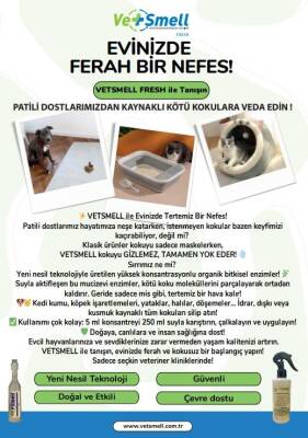 Vetsmell Konsantre Organik Kötü Koku Giderici Solüsyon)
